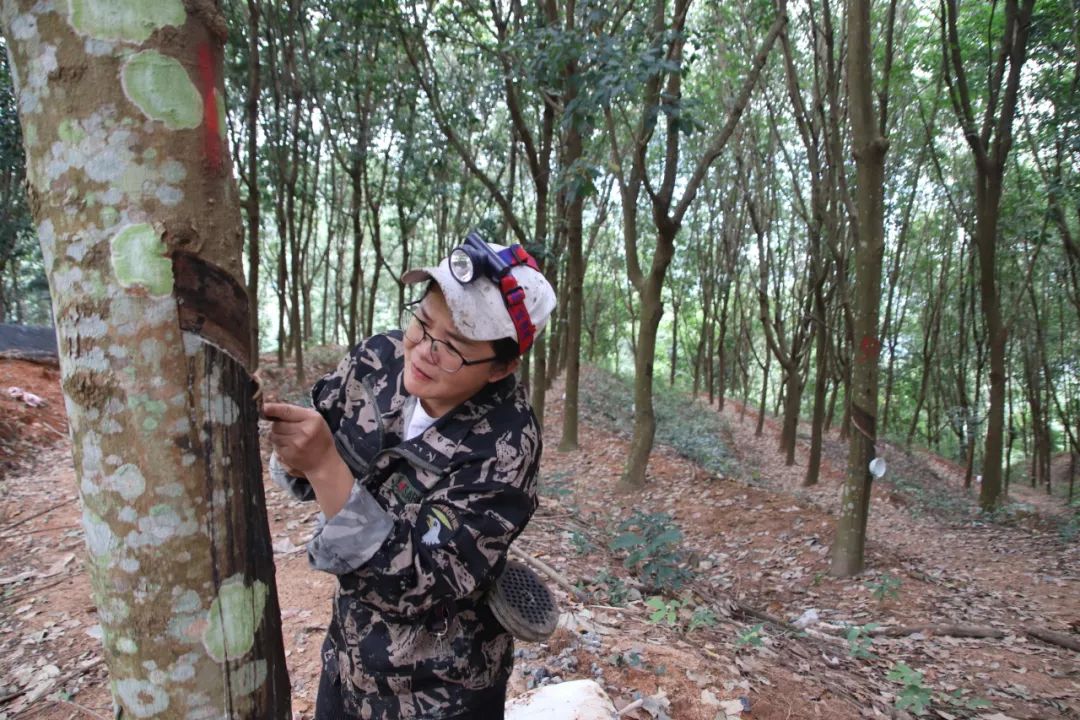 06d5105059b5413d868d32d2e791ed03 06d5105059b5413d868d32d2e791ed03