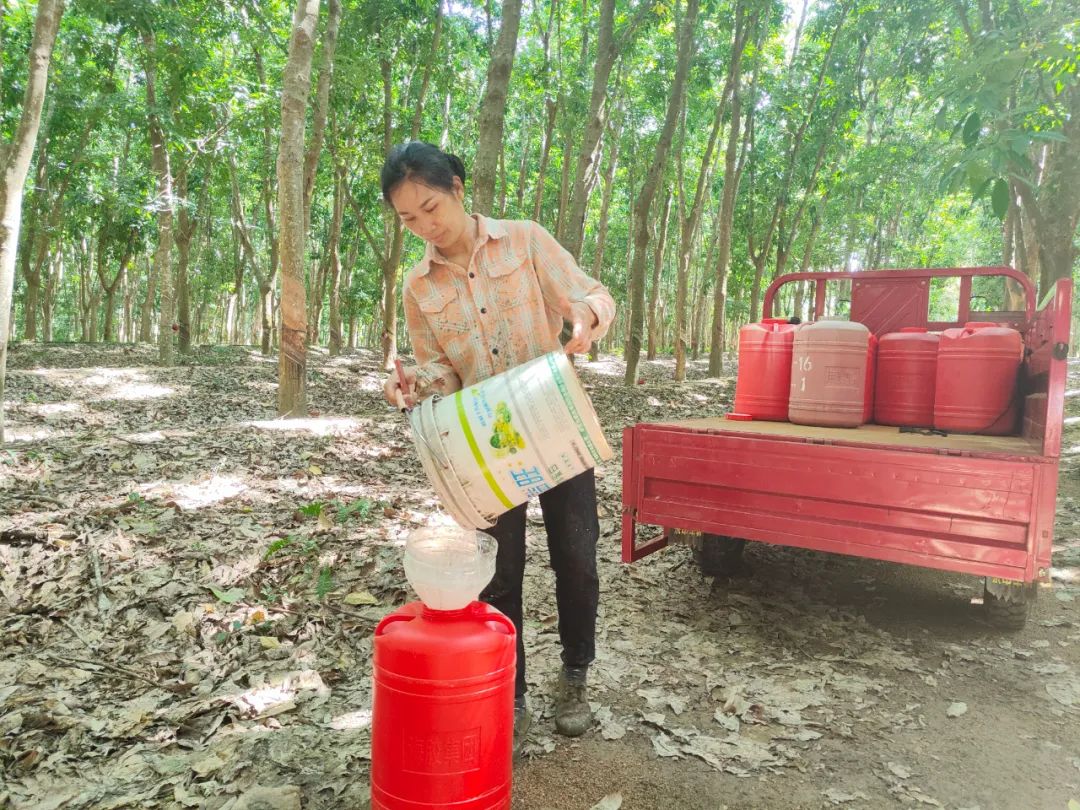 1747614790046030019.jpg 1747614790046030019.jpg