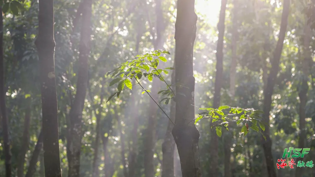 1755879784940097070.jpg 1755879784940097070.jpg