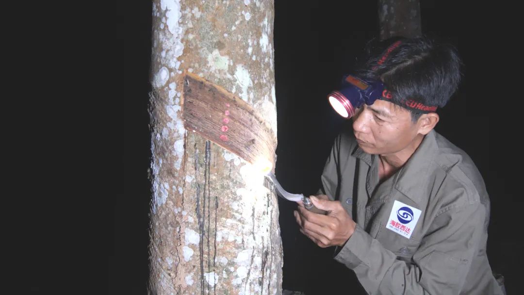 22d8baecb09a41a6a37b7678e85ad744 22d8baecb09a41a6a37b7678e85ad744