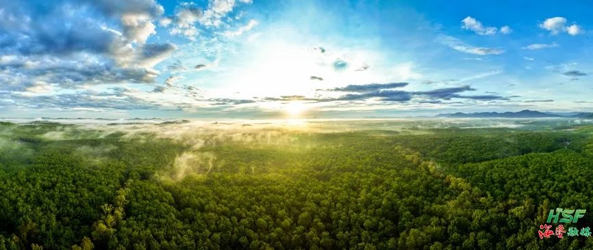 37659ec641c8405cb798a8c131c1fccd 37659ec641c8405cb798a8c131c1fccd