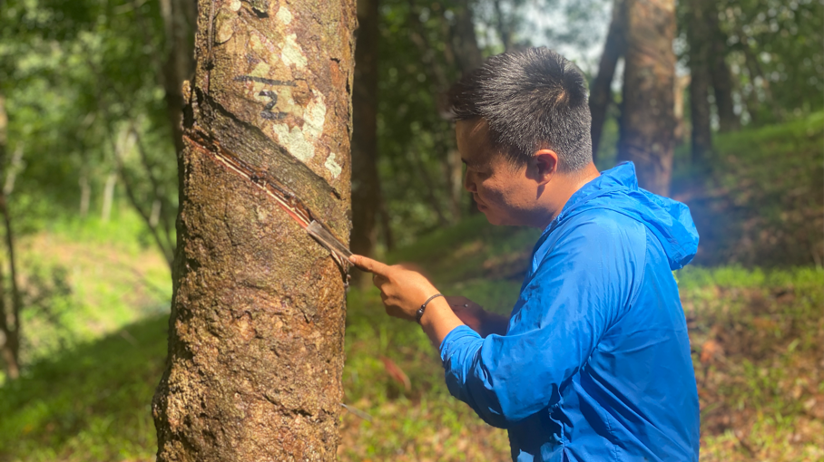 e609a811ccd44074be44649dca92aa59 e609a811ccd44074be44649dca92aa59