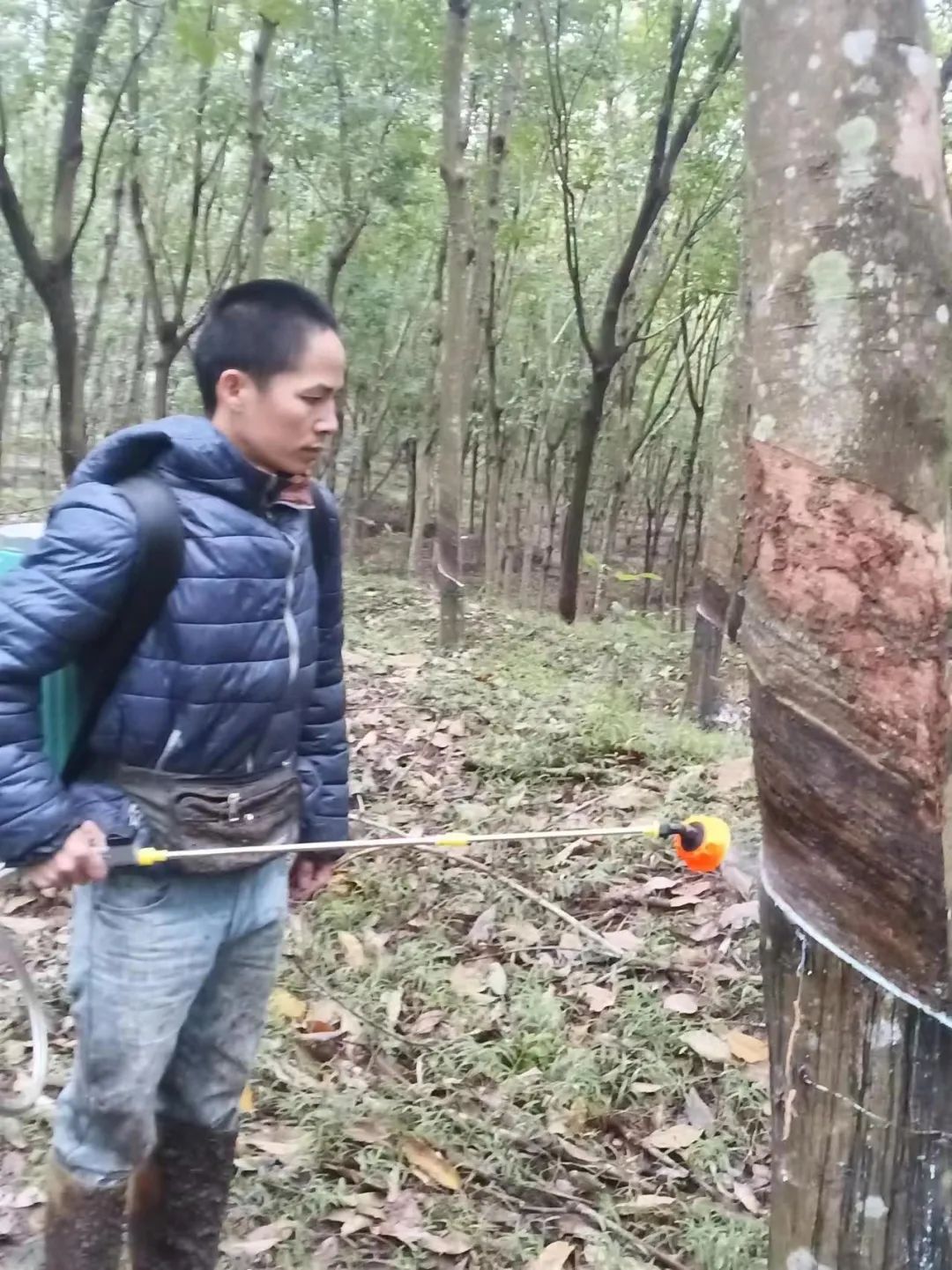 f066c23dc82a4e90b1b9edb4f15325cf f066c23dc82a4e90b1b9edb4f15325cf