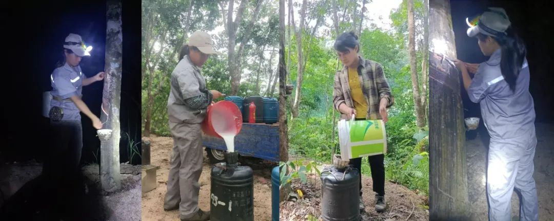 f2d5415f50914834992776b831c404e5 f2d5415f50914834992776b831c404e5