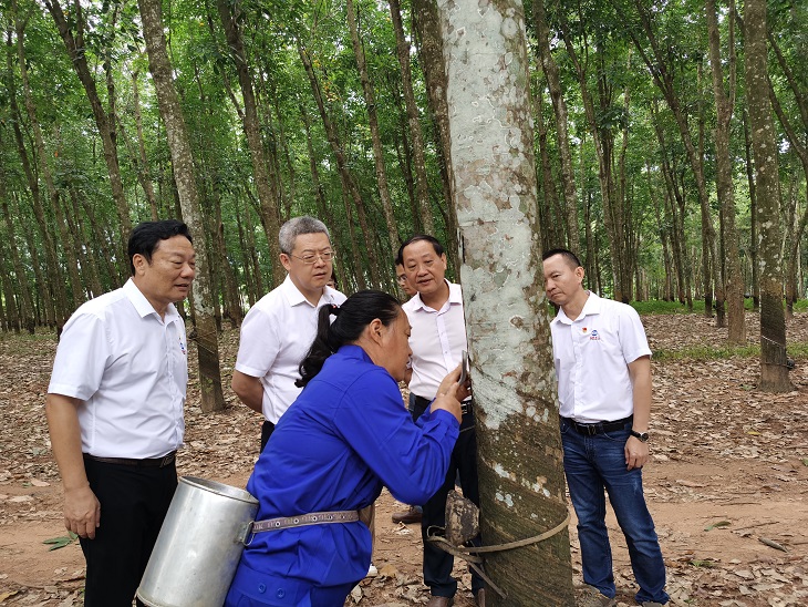 suncitygroup̫--ٷվ