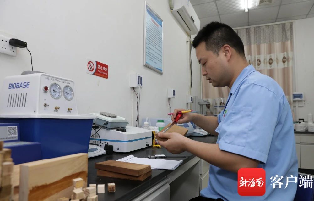 suncitygroup̫--ٷվ