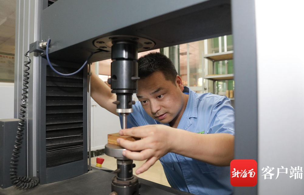 suncitygroup̫--ٷվ