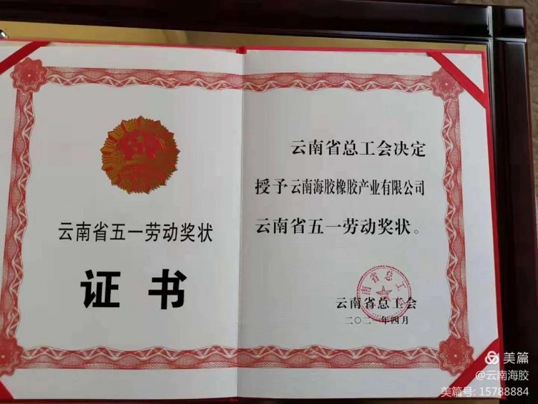 suncitygroup̫--ٷվ